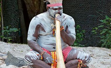Das singende Rohr: Physik des Didgeridoos