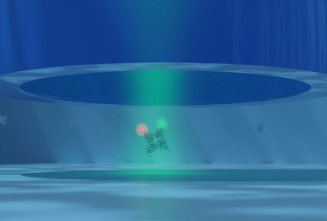 Optofluidische Antenne beobachtet fluoreszierende Moleküle
