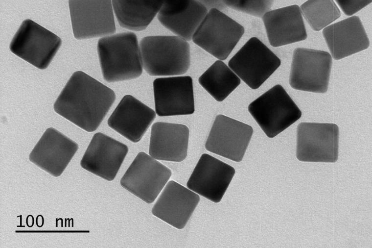 Abb.:. SEM-Aufnahme von Edelmetall-Nanoröhrchen