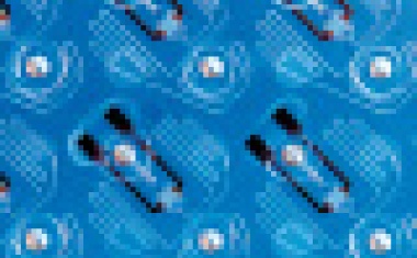 Auf Herz und Nieren prüfen