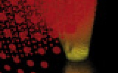 Alles aus dem Nichts