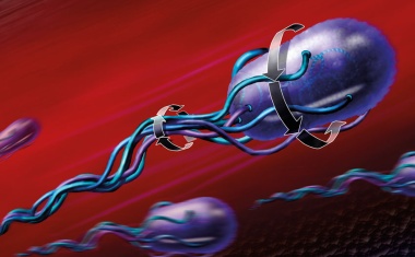 Selbstgetriebene Teilchen