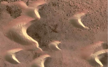 Wie stoppt man eine Wanderdüne?