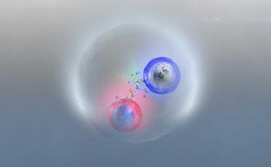 Flüchtige Top-Quark-Paare am LHC beobachtet