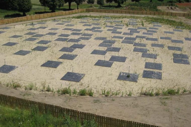 Photo: Forschung auf Radioempfang