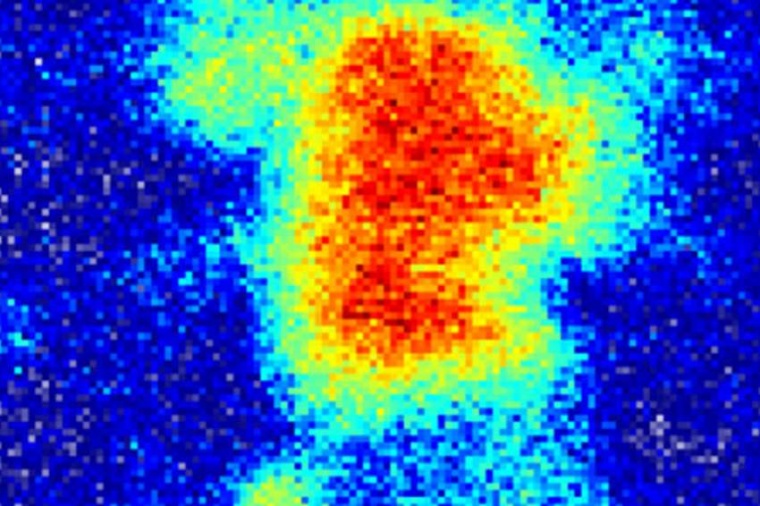 Abb.: Für die Datenanalyse nutzen die Wissenschaftler ein neuronales Netzwerk...