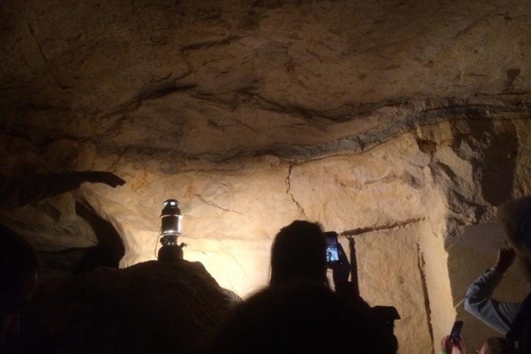 Abb.: Kreide-Paläogen-Grenze in einer Höhle nahe Geulhemmerberg in den...