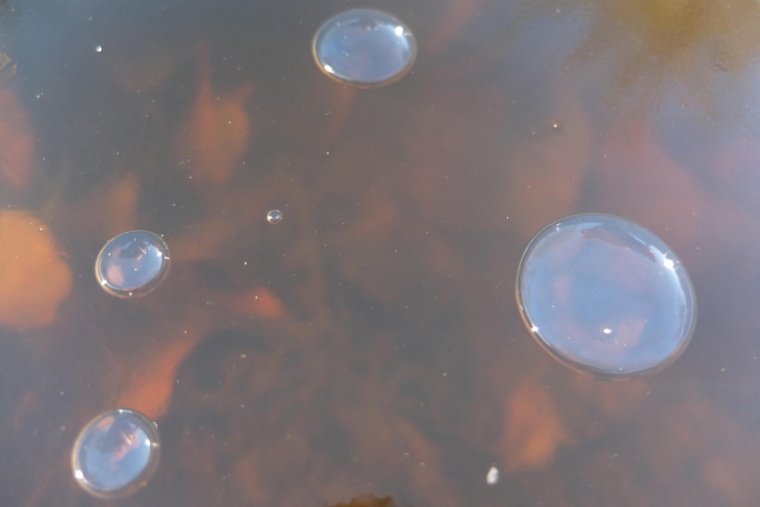 Abb. 1 Blaue Blasen im Eis über einer orange ausgeleuchteten Wasserschicht...