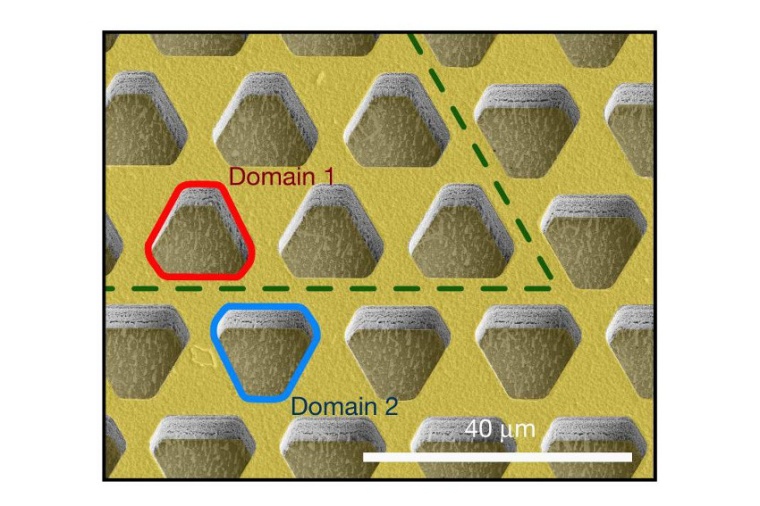 Abb.: Aufnahme des Quanten­kaskaden­lasers mit einem...