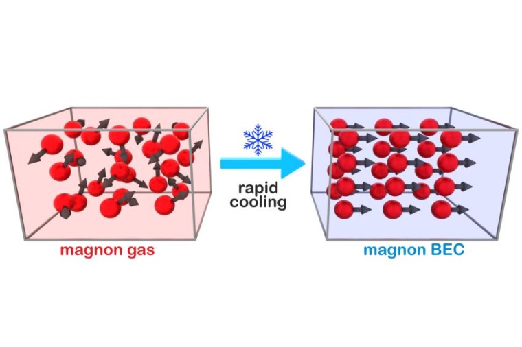 Abb.: Wenn Magnon­gas­partikel schnell abkühlen, springen sie alle spontan...