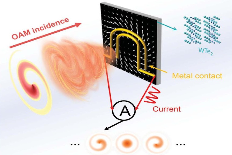 Abb.: Skizze des Photodetektors zum Nachweis von OAM-Strahlen. (Bild: Z. Ji...