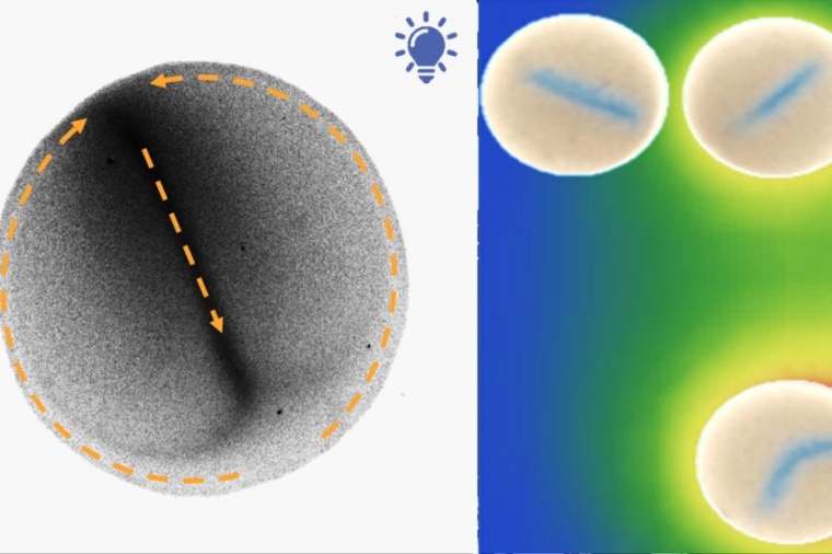 Abb.: Tropfen mit Nano­partikeln können sich miteinander koordinieren. (Bild:...