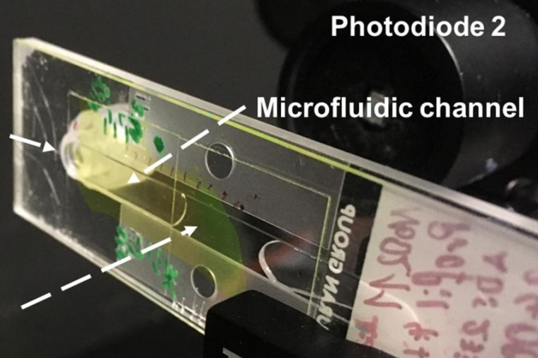 Abb.: Labor­aufbau mit einem opto­fluidischen Chip (Bild: Karnutsch, HS...