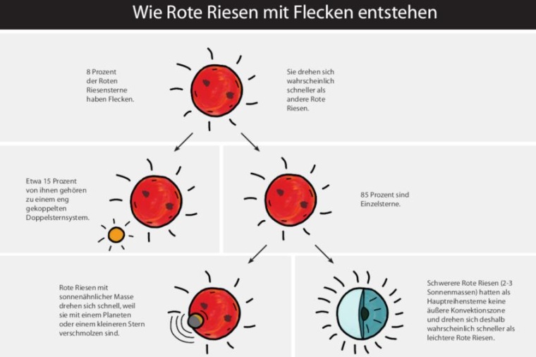 Abb.: Die Entstehung von roten Riesen mit Flecken (Bild: MPS / hormesdesign.de)