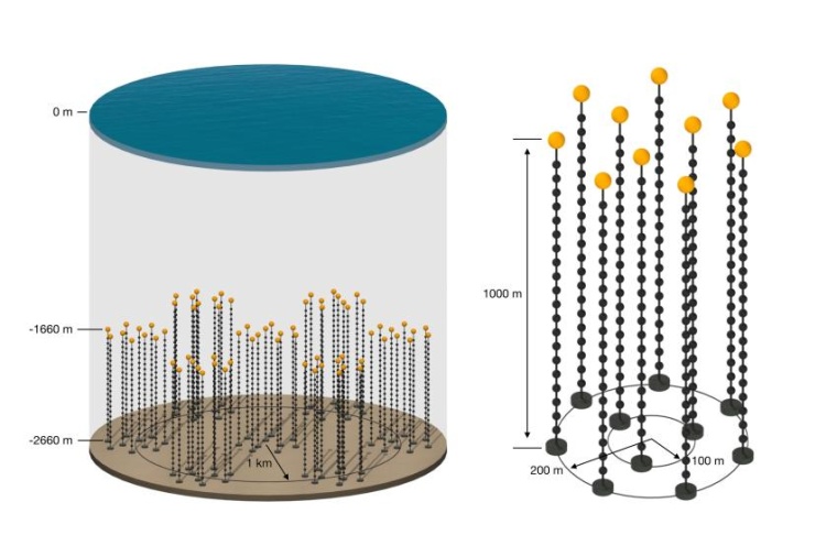 Abb.: Skizze des geplanten Neutrino-Teleskops P-ONE im Pazifischen Ozean. Das...