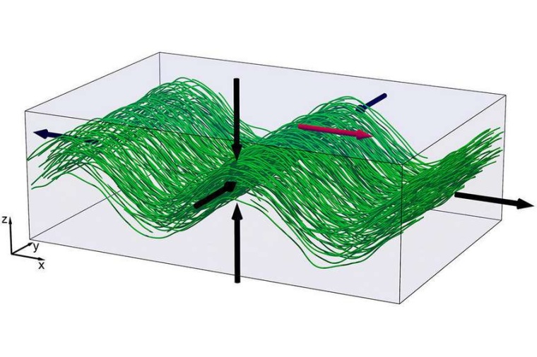 Abb.: Mikrotubuli (grün) bilden ein Band, das sich vertikal verdichtet und...