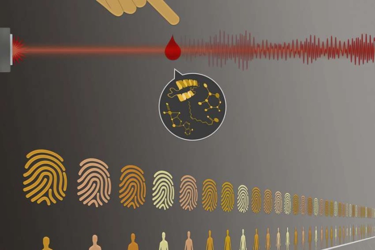 Abb.: Blutbilder sind so individuell wie Fingerabdrücke. Wie stabil...