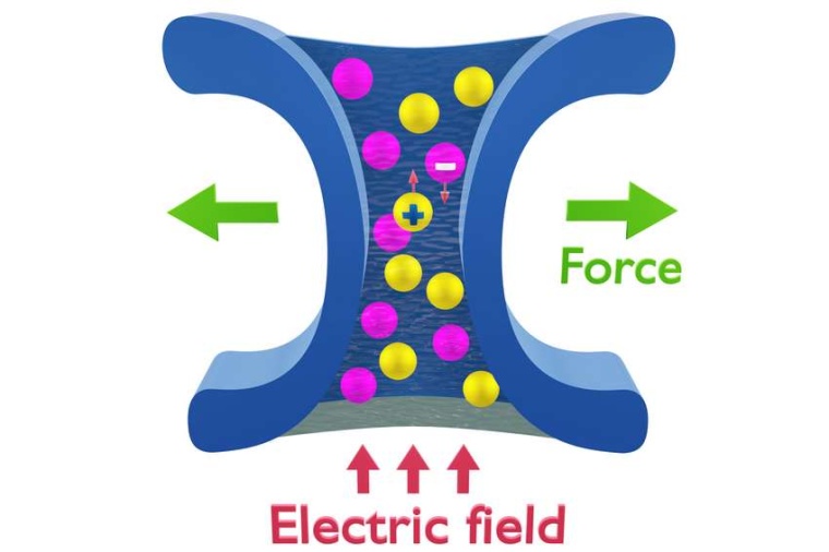 Abb.: Das Anlegen eines elek­trischen Feldes an einem Ionen­kanal führt zu...