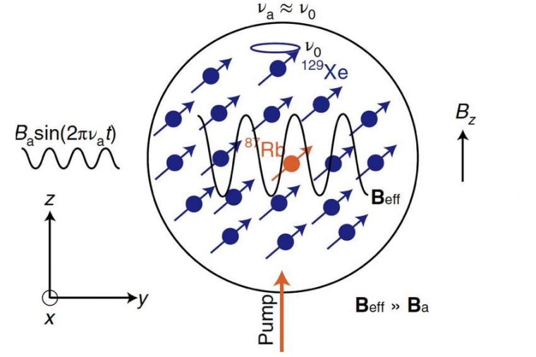Abb.: Schematische Darstellung des Prinzips des Spinverstärkers....
