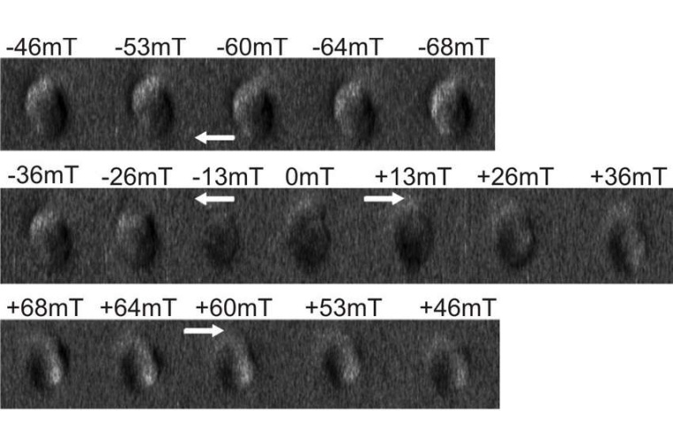 Abb.: Die magnetokraftmikroskopischen Aufnahmen zeigen ein...