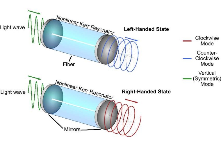 Abb.: Die Illustration zeigt, wie sich die Polarisation in einer...