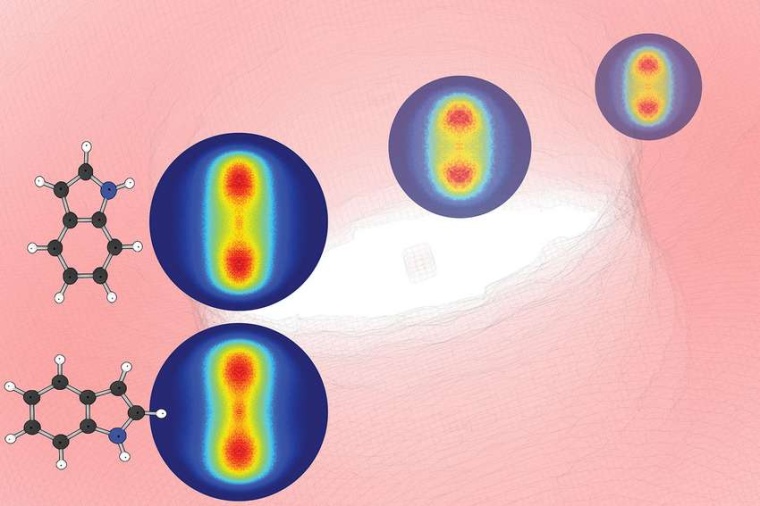 Abb.: Neben der Struktur des Biomoleküls Indol in zwei ausgewählten...