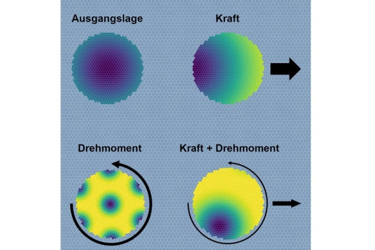 Abb.: Schematische Darstellung der Entwicklung von Moiré-Mustern unter dem...