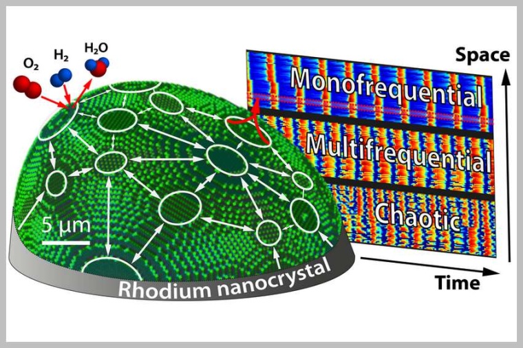 Abb.: Nanochaos auf einem asym­me­trischen Rhodium-Nano­kristall. (Bild: TU...