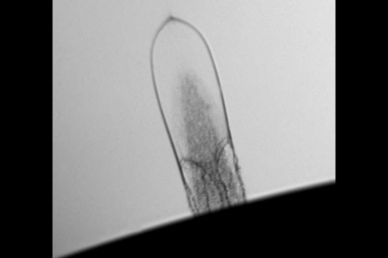 Abb.: Eine lasererzeugte Oberflächenblase aus flüssigem Glycerin, die...