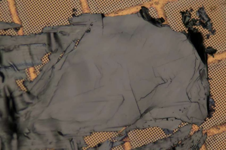 Abb.: Ein Schichtkristall auf einem Probenträger aus Gold. Das...